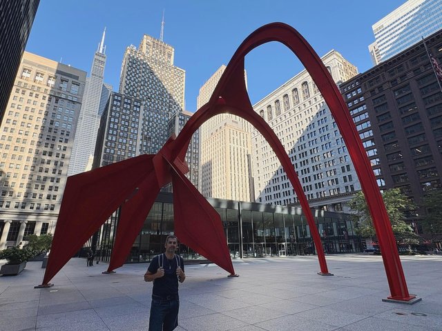Caminando por Chicago: Esculturas, the Bean, lugares de películas y Torre Willis - Boston y Chicago (1)