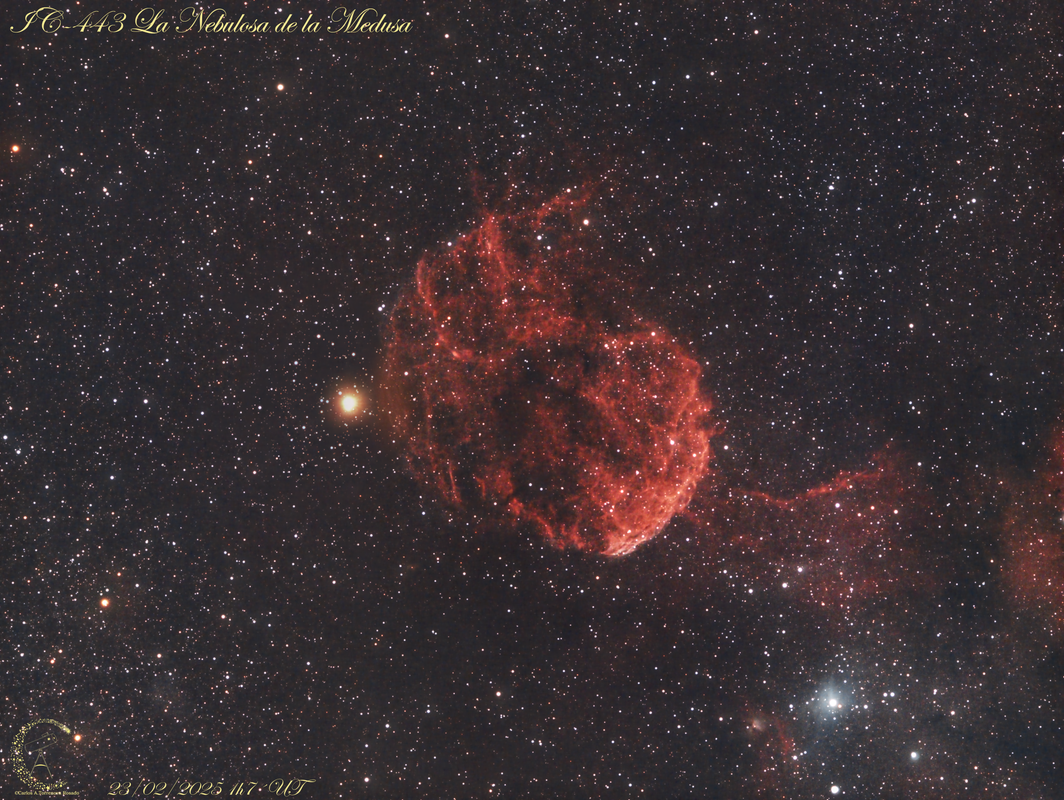 nebulosa de la Medusa - IC 433 - Jellyfish Nebula