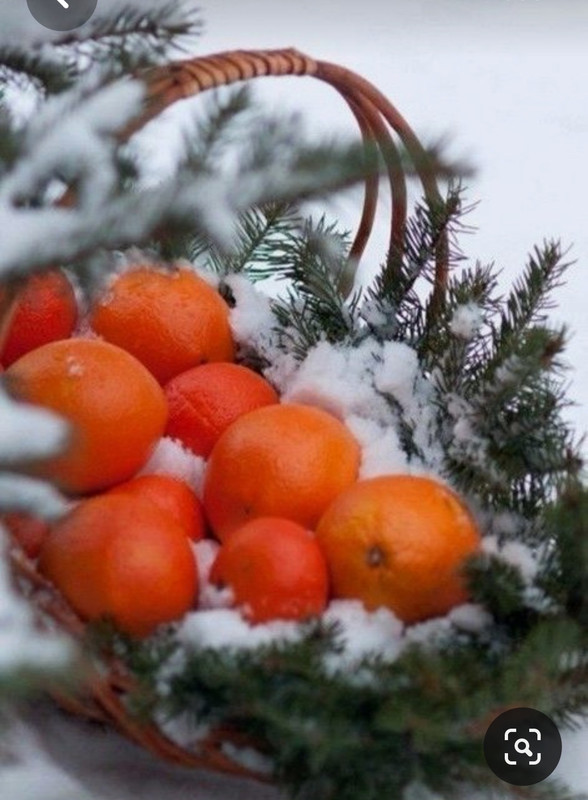 Screenshot_20230617_000812_Pinterest