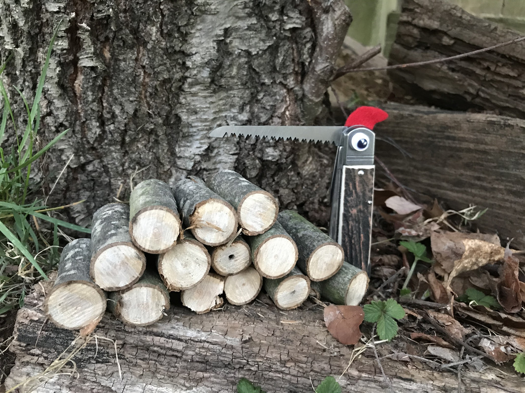 4A73EBA0-278B-499A-9901-3D250A0A21D8