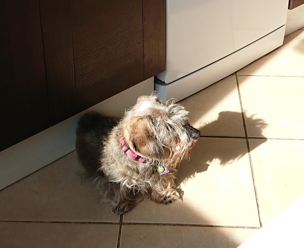 [Image: 20241012-143758.jpg]