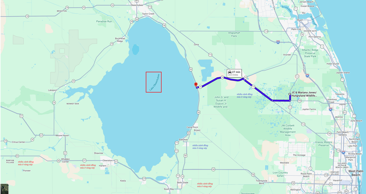 [Image: Lake-Okeechobee-In-Fla-Fla.png]