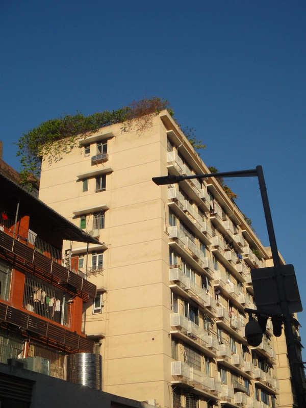 photo 36 2025 12 17 21 20 30