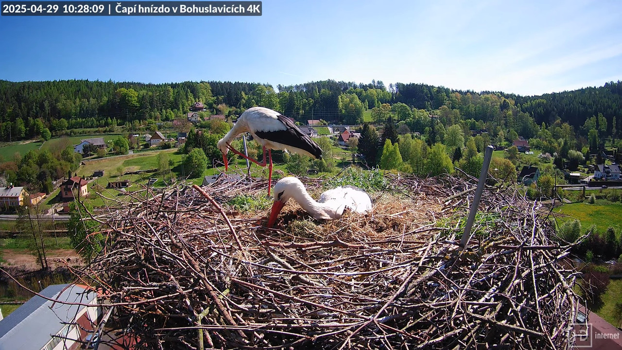 Tiešraide no KARA uzņēmuma stārķu skursteņa Bohuslavicē netālu no Trutnovas 12-34-43 screenshot