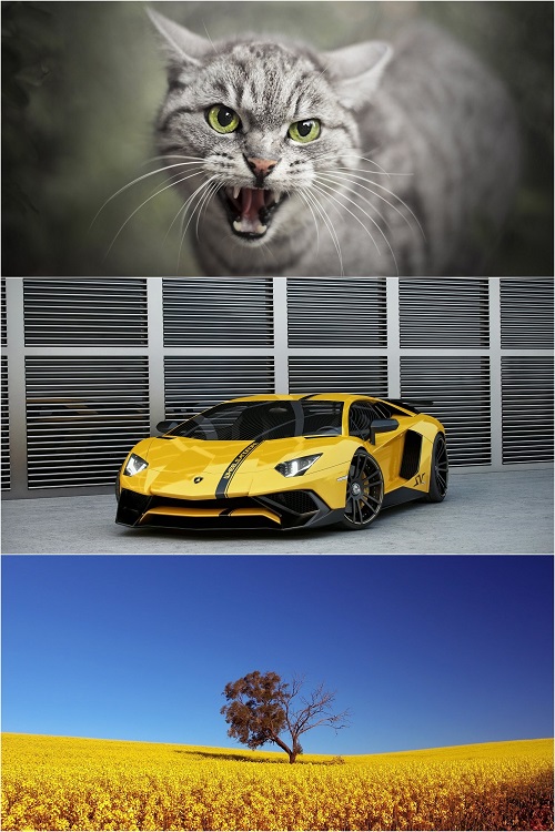 LIFEstyle News MiXture Images. Wallpapers Part 2622