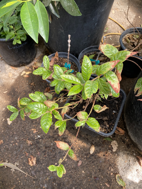 F265EE17-FE0B-4D91-B7CB-28A908EBA7BA