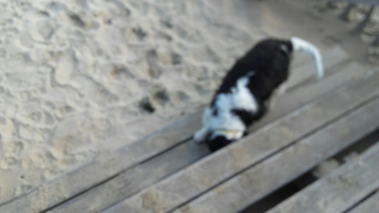 478CEE72-EB71-4017-8563-1CA11ED10F3F