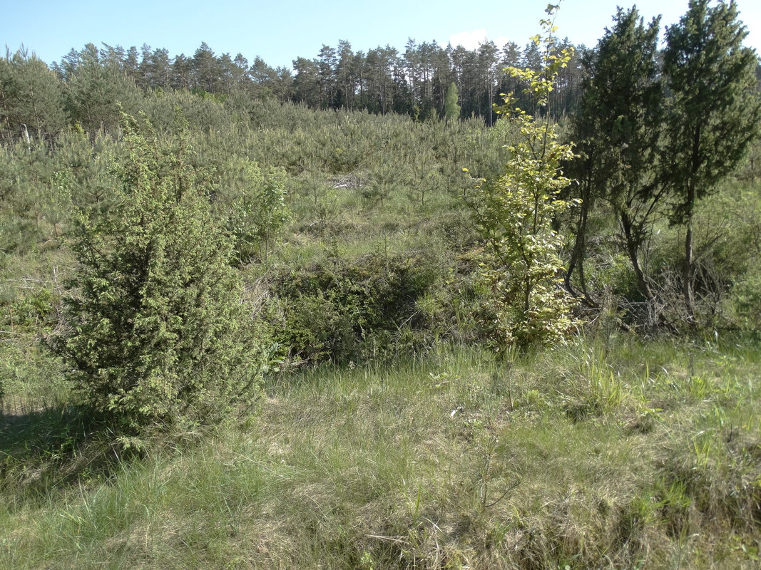 12 - DSC03899 (Czesio1)