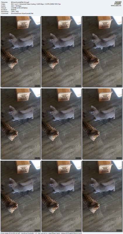 @AsianScandalNet (4).mp4