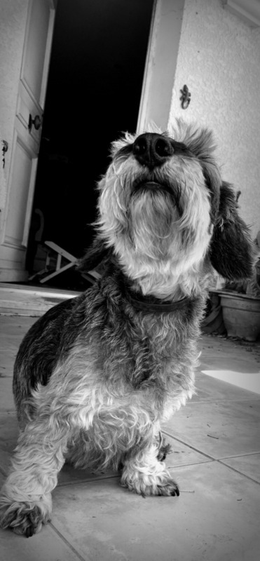 [Image: IMG-1057.jpg]