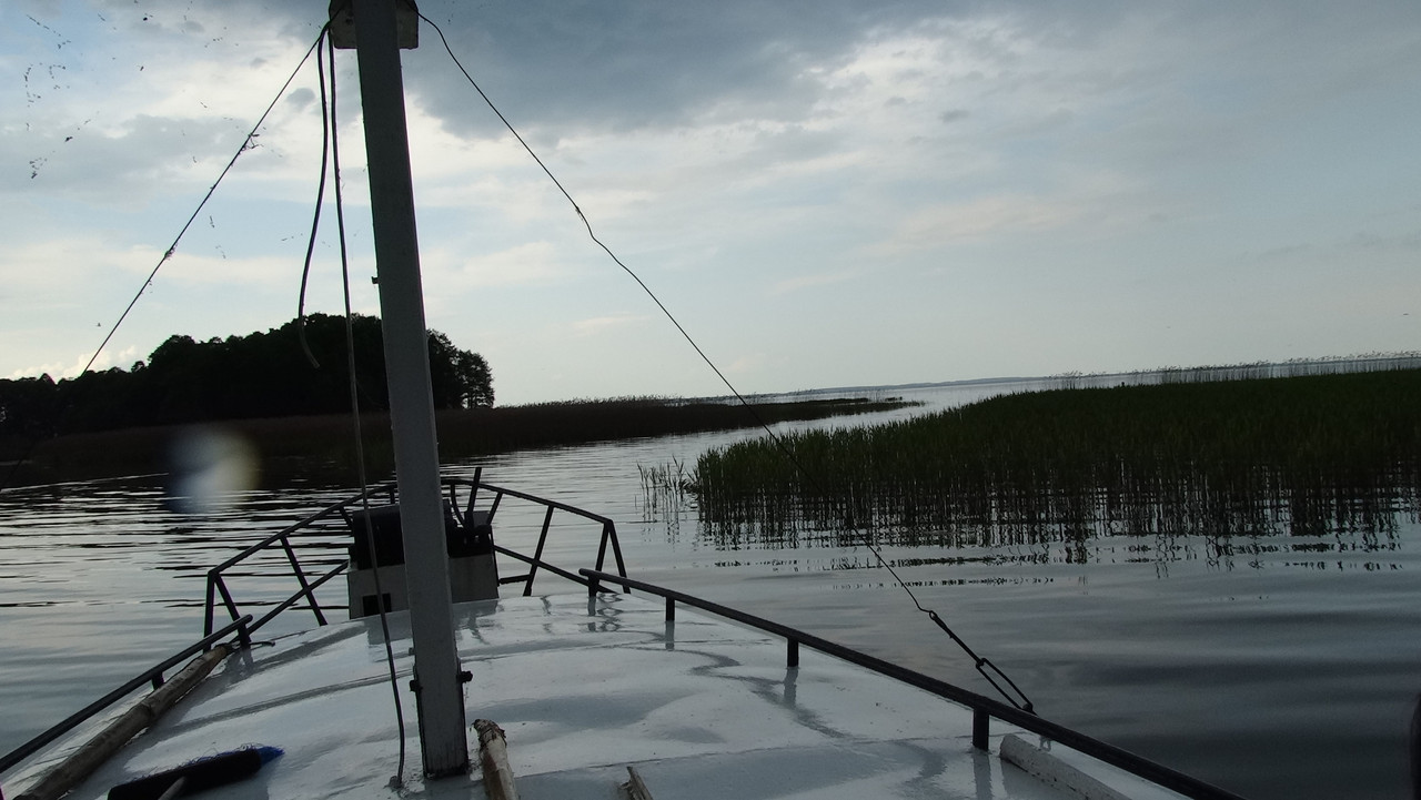 03 - DSC03965 (Czesio1)