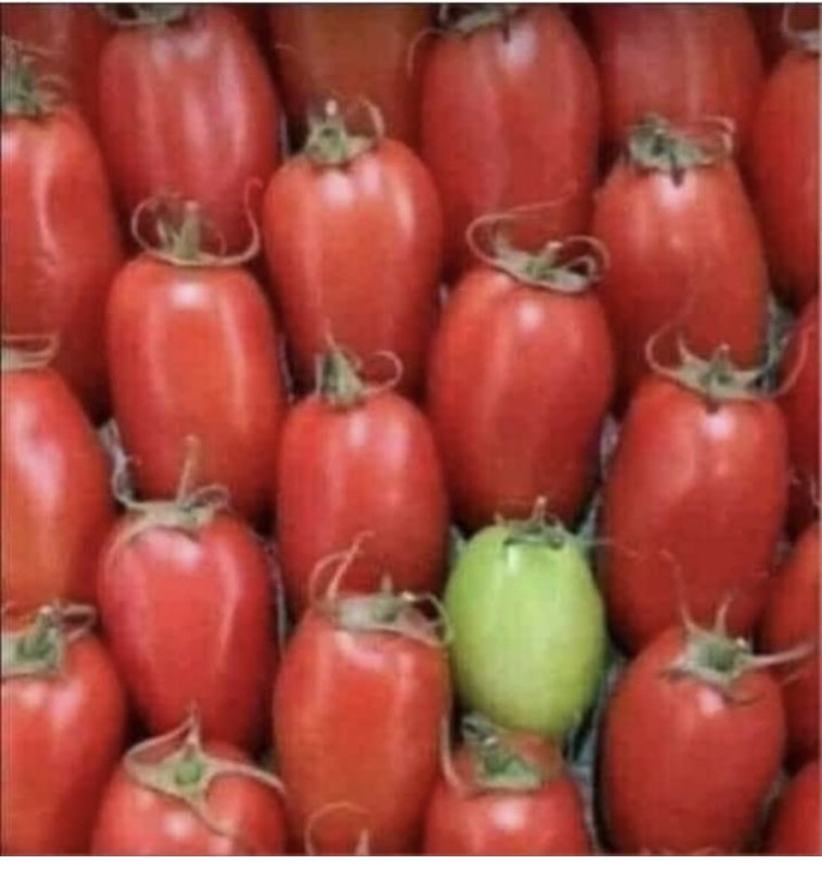 50DAC5A0-0846-440E-8F3A-FB835752DD4B