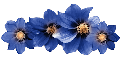 ISmellAutumn-LL-Element74