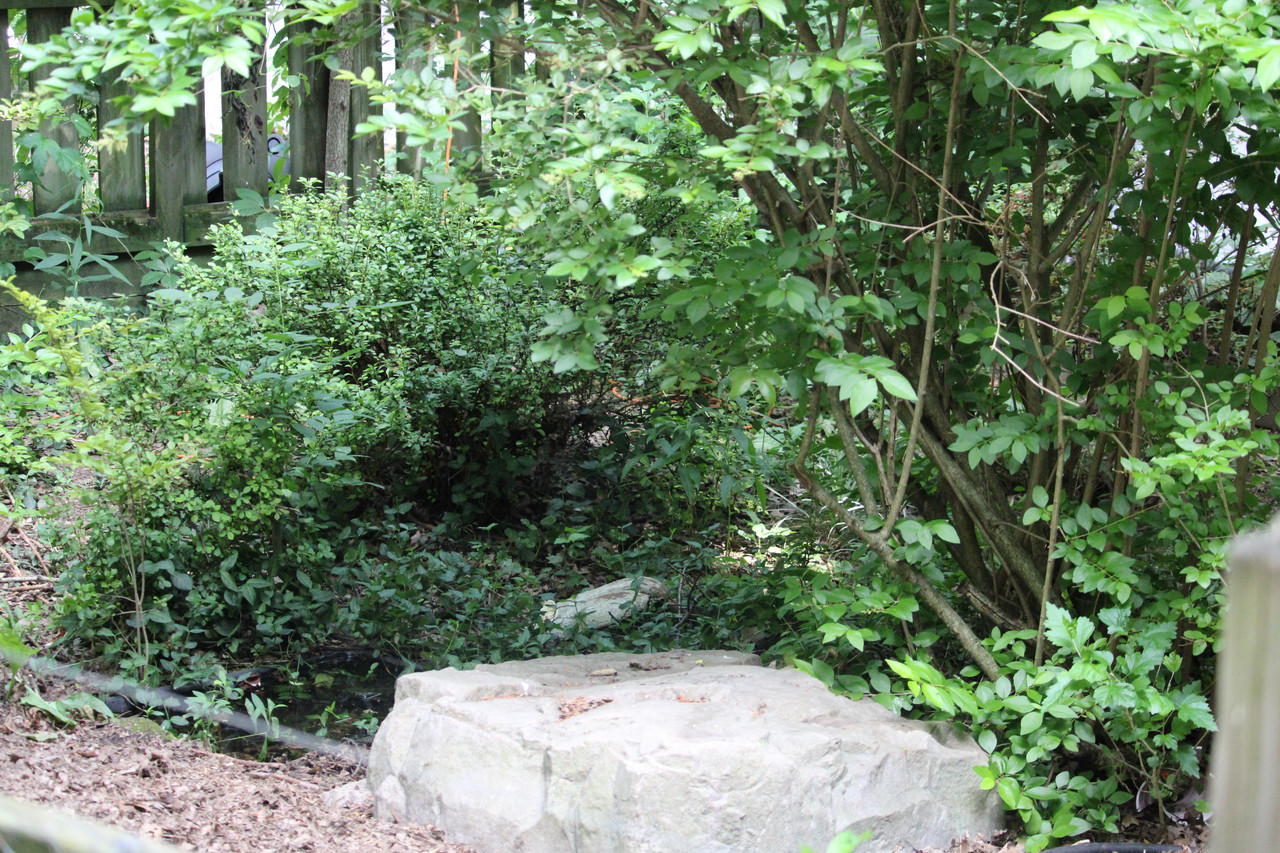 IMG-5841.jpg