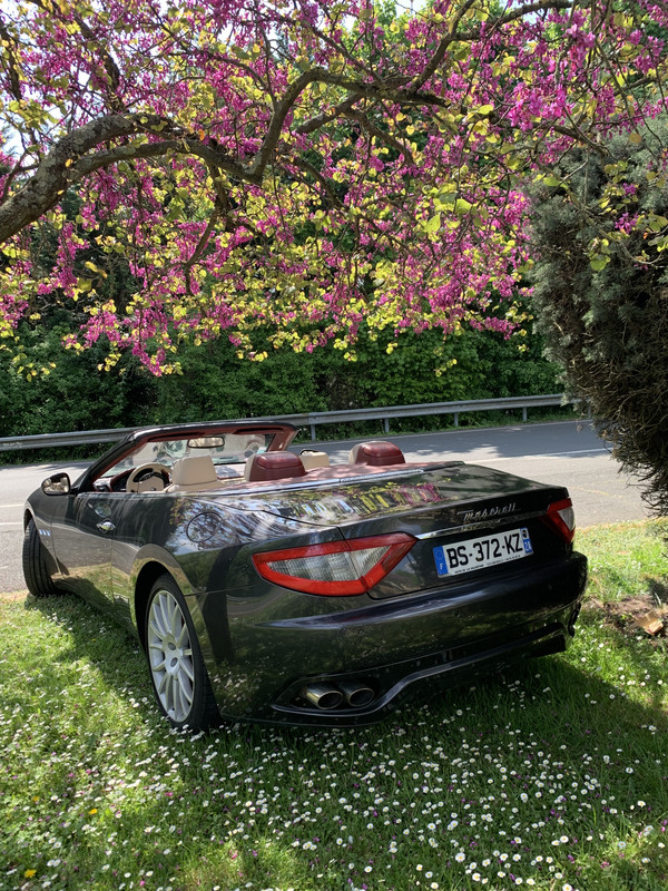 EE79C0A2-0280-4EB2-9F91-12C575C64FEE