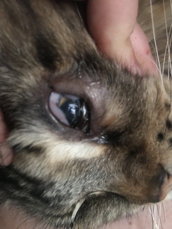 491B2FF7-1A56-4F0A-8FD5-614F093A8AAD