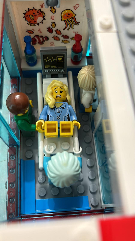 WhatsApp Image 2024-11-20 at 17.41.49_a54d1752