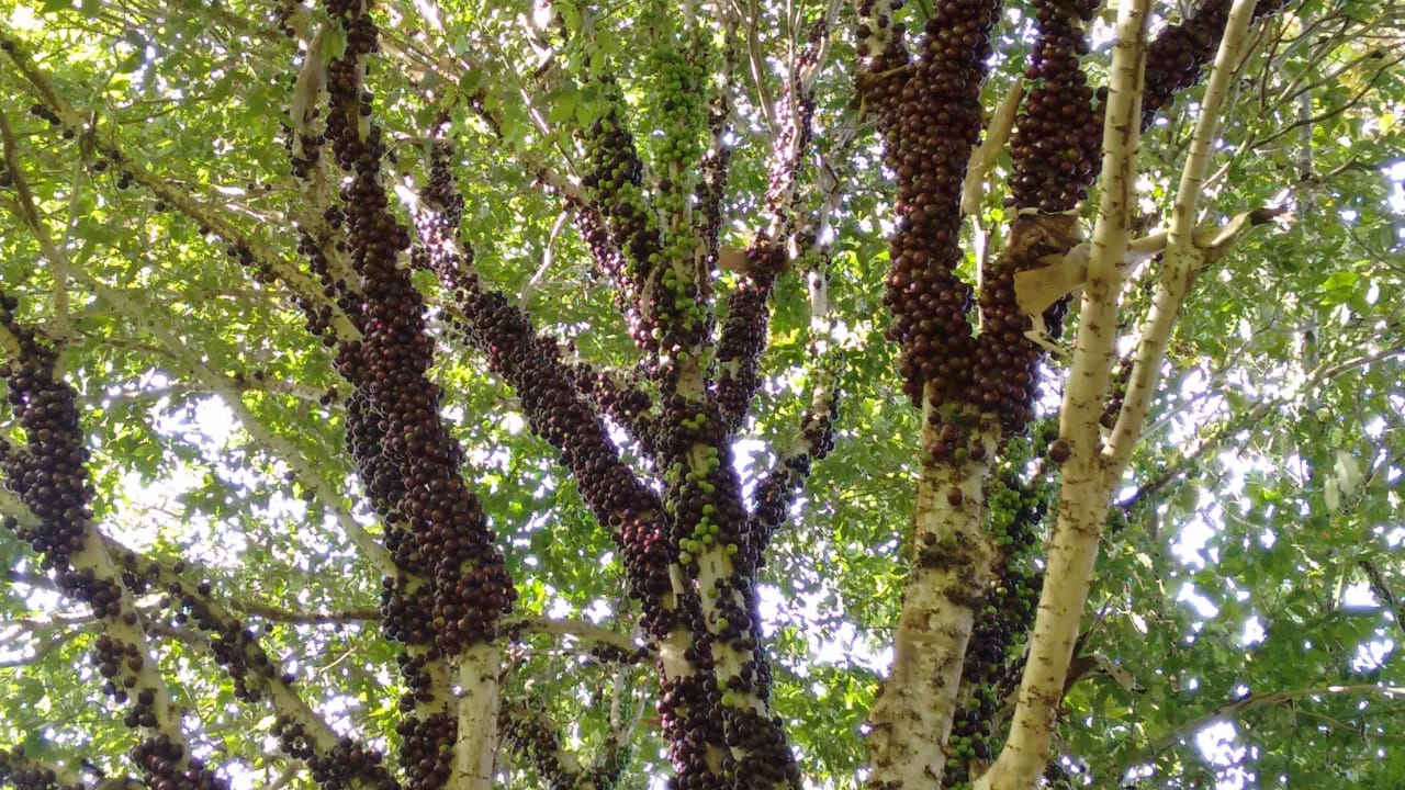 WhatsApp Image 2020-12-20 at 00.10.49 (32)