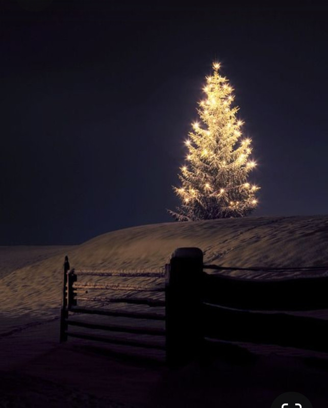 Screenshot_20230412_195004_Pinterest