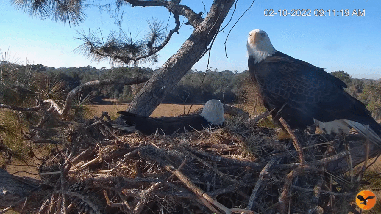 Webp.net-gifmaker (3)