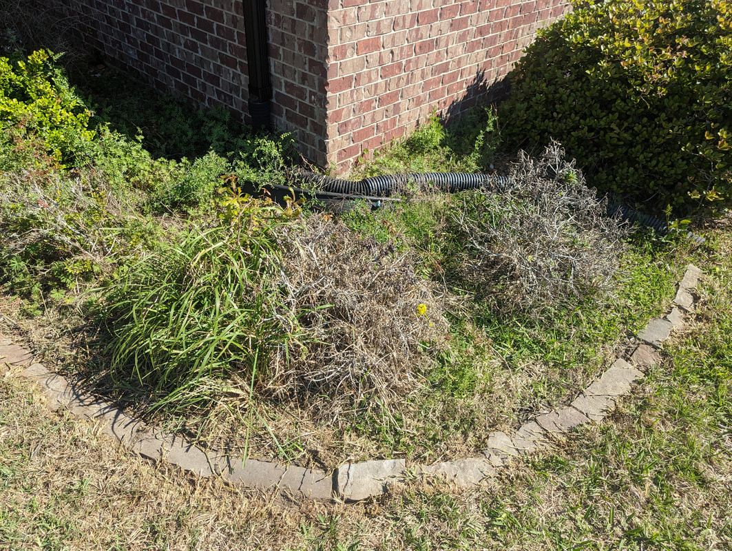 PXL_20230305_163609602