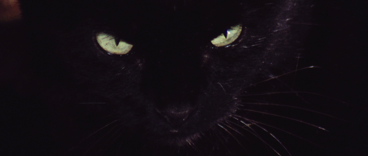 [Immagine: vlcsnap-2022-12-13-21h37m01s937.png]