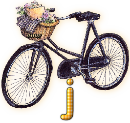 Bici Porta Flores  J