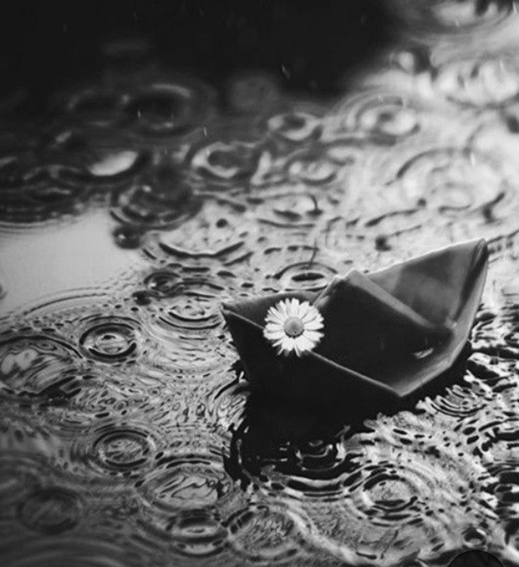 Screenshot_20240601_230722_Pinterest