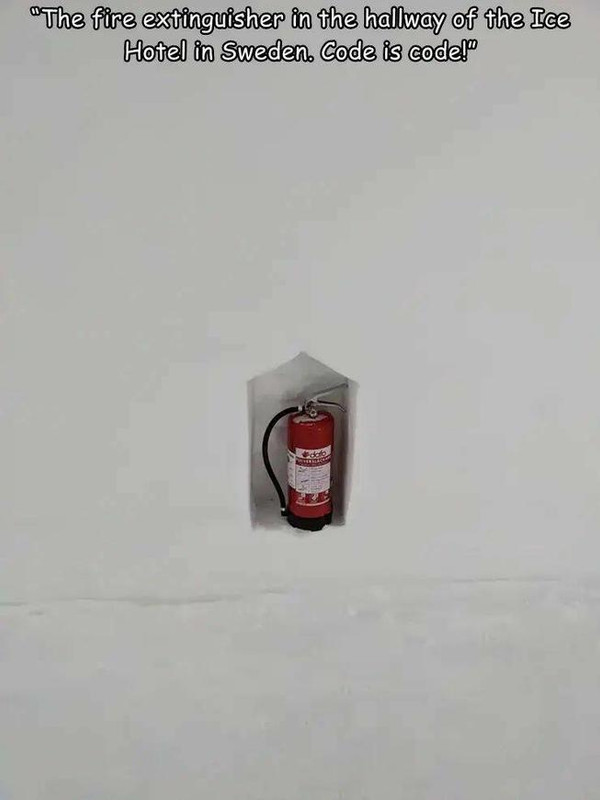 896782-20240807-479-6.jpg