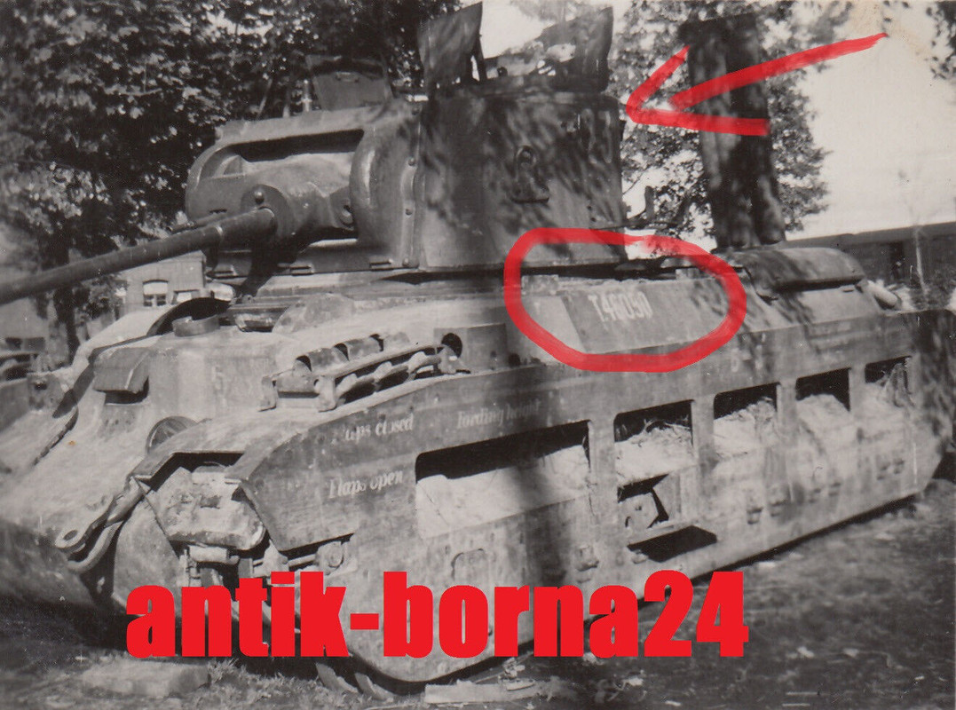 Foto Soldat Gebirgs-Division Beute Panzer Tank Mark II Matilda Rußland L&L1