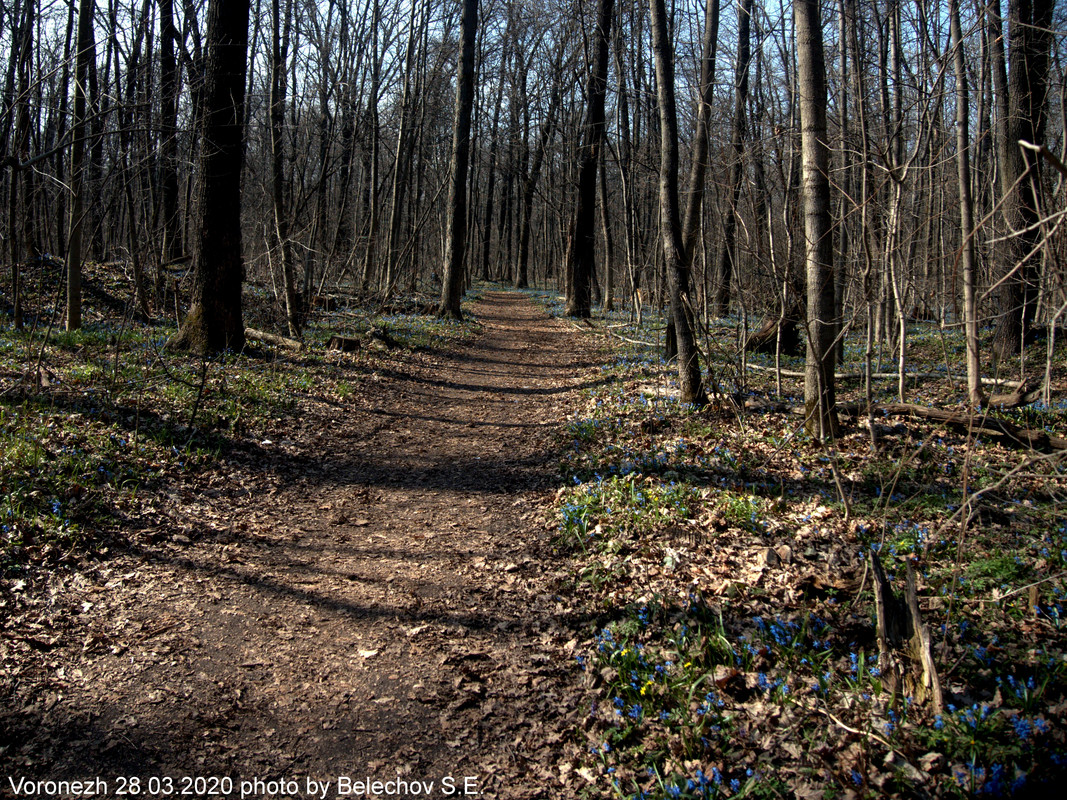 Воронеж, весна, Олимпик Воронеж, весна, Олимпик