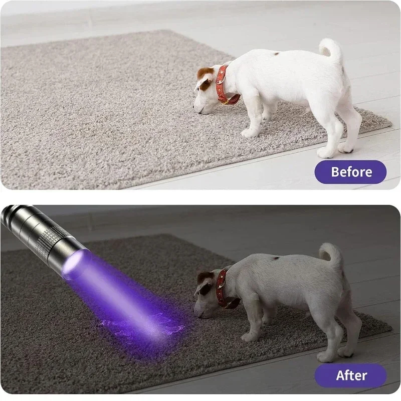 Mini UV Torch with Clip