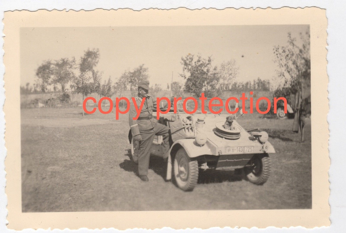 Orig. Foto VW 82 KÜBELWAGEN Russland 1943 WH-1430725 mit Kaniste