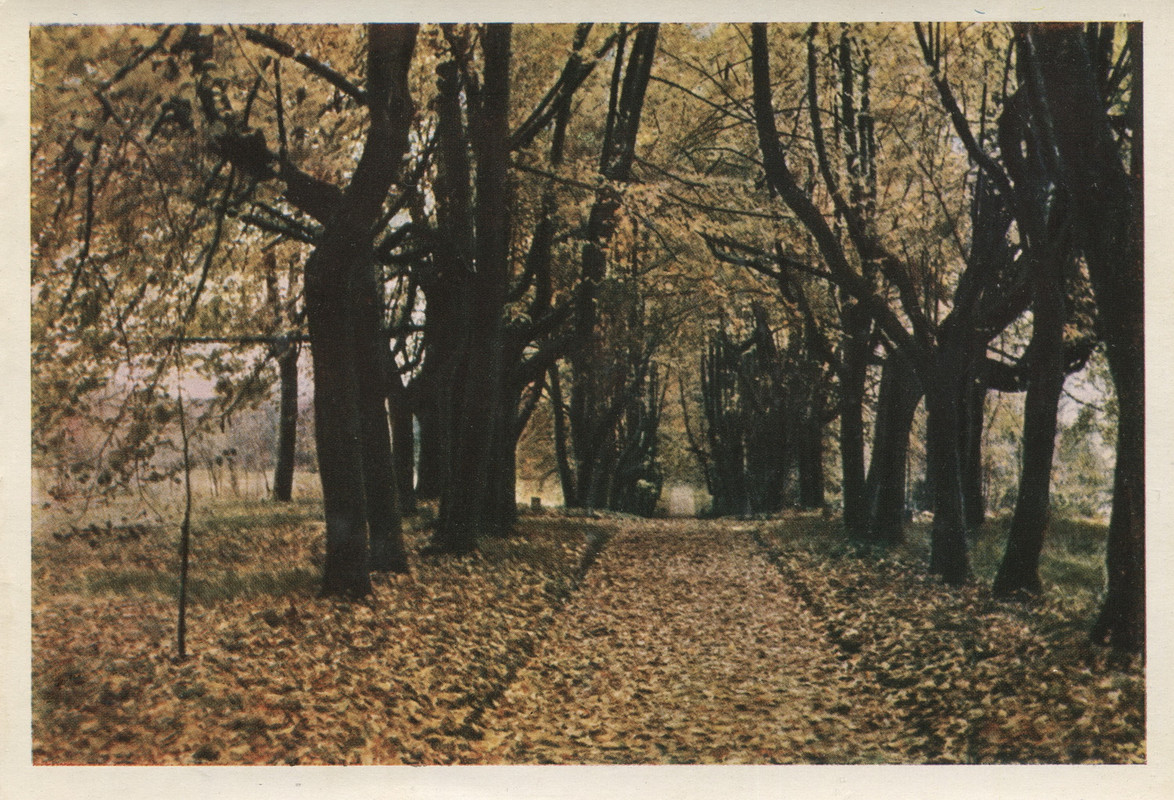 1964.наб.П.з-ник.№13