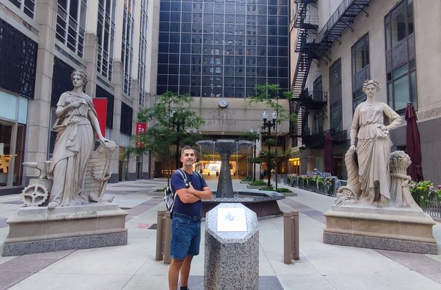 Caminando por Chicago: Esculturas, the Bean, lugares de películas y Torre Willis - Boston y Chicago (67)