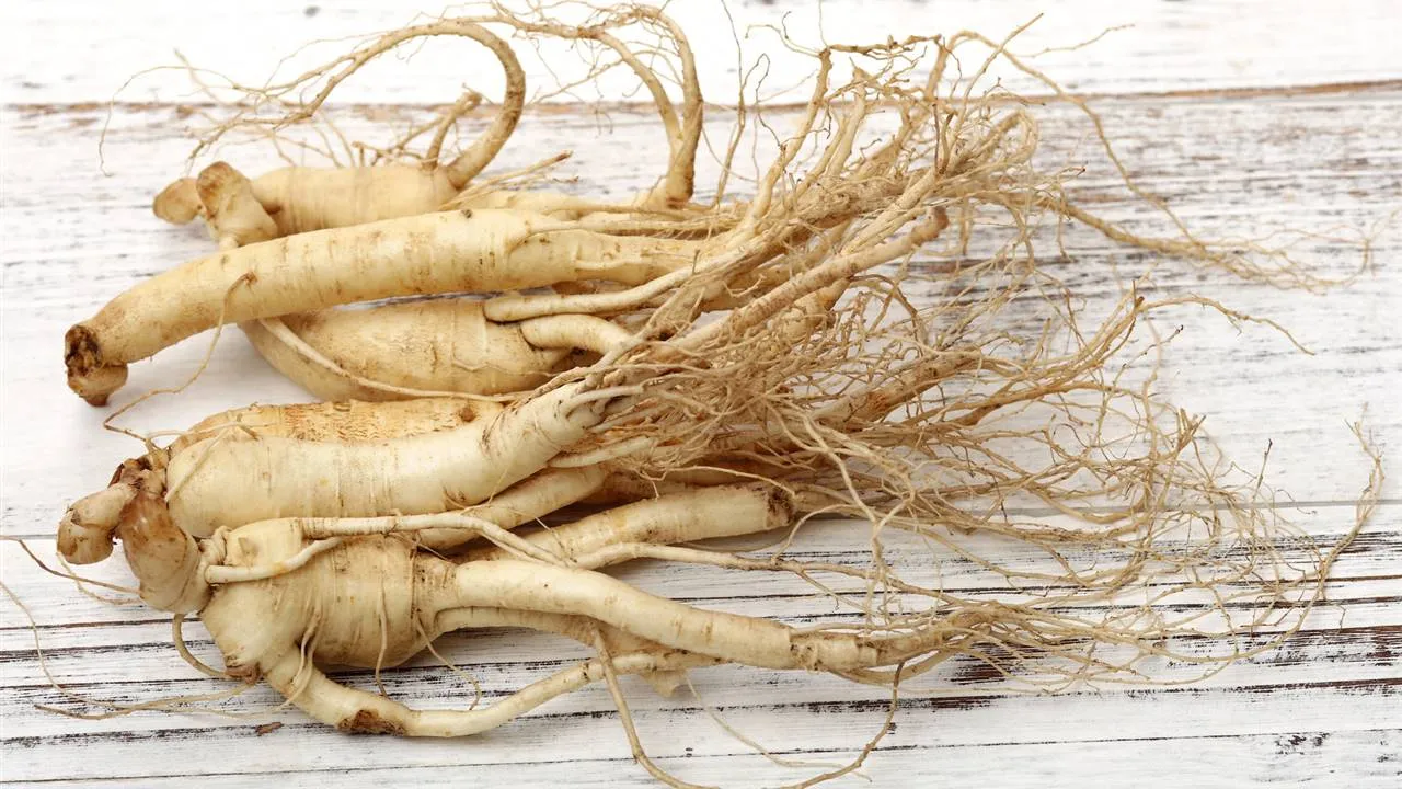 ¿Qué es el ginseng y para qué sirve?