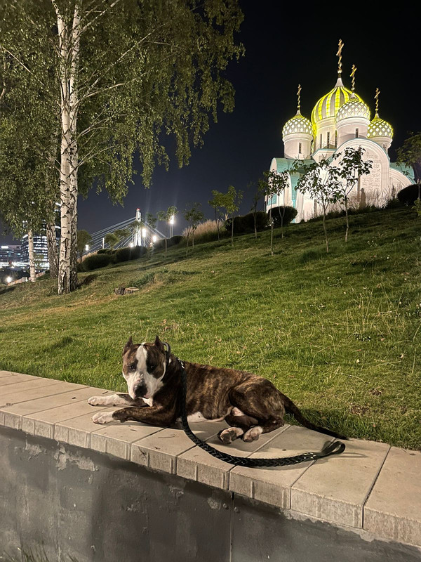 9F5EB517-13FB-4190-B955-A30E0E8716A7