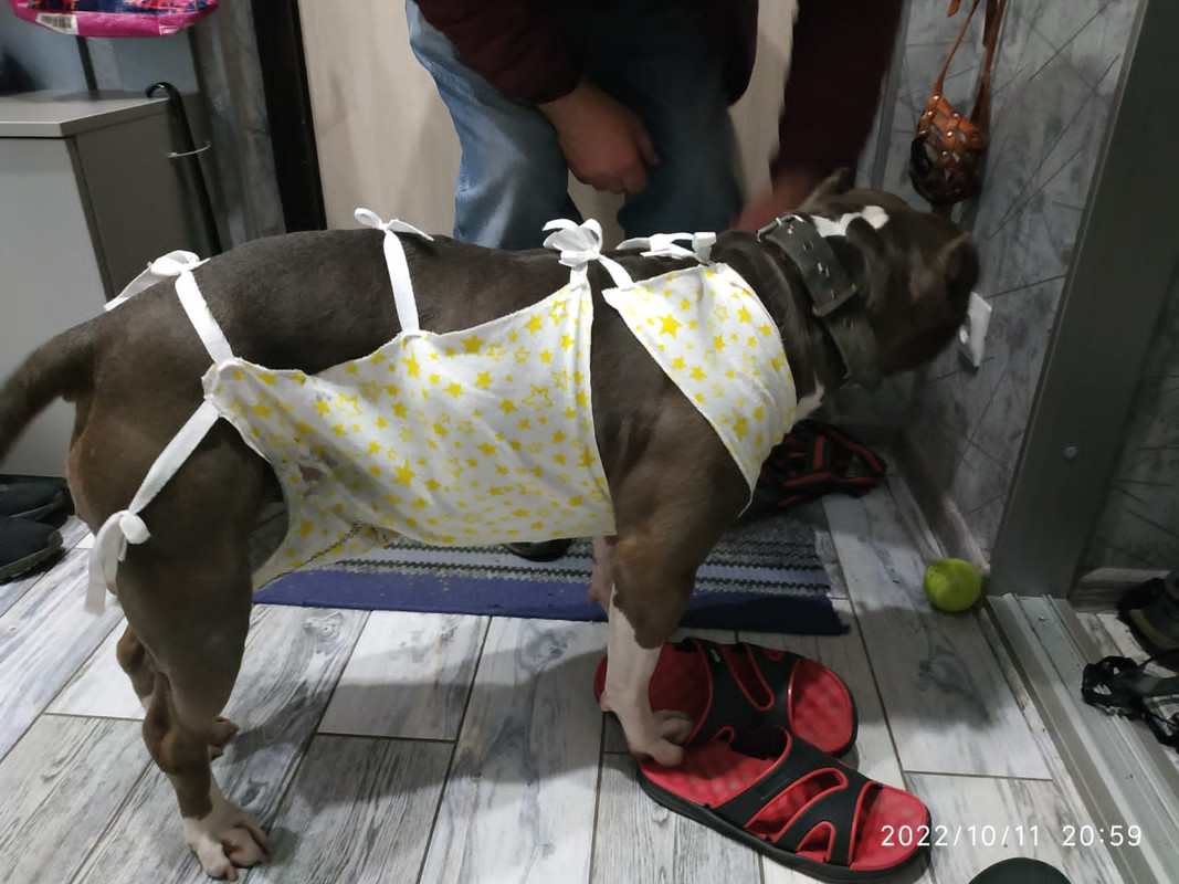 C5D5F0C3-D7C7-4872-BE1D-F6D2681DEB6C