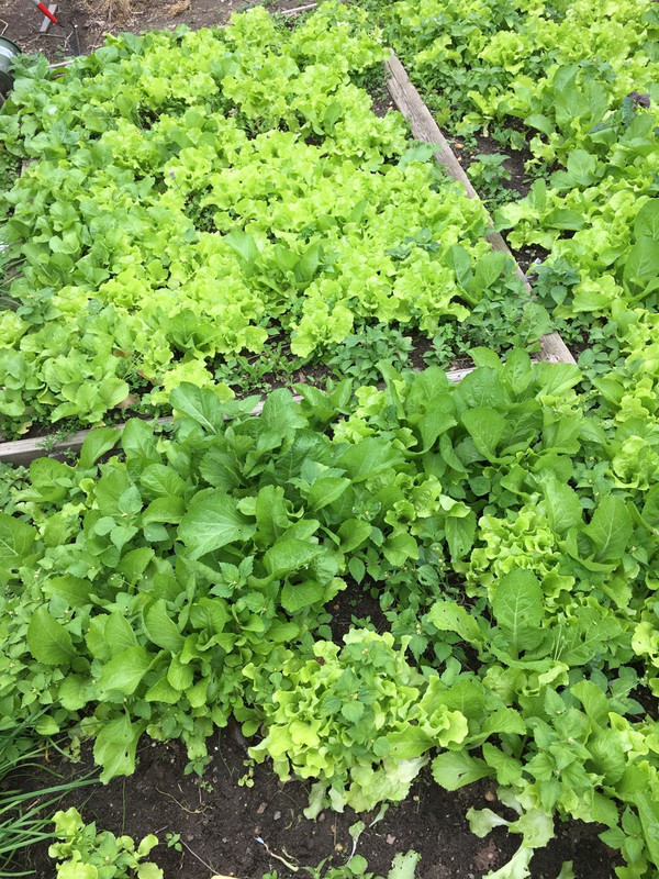 DDFA210A-85BE-4B04-9E14-62D424DDD6F7