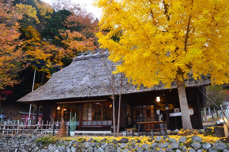 Saiko Iyashi no Sato Nenba-16-11-2024 - Japón y sus Pueblos-2024 (8)