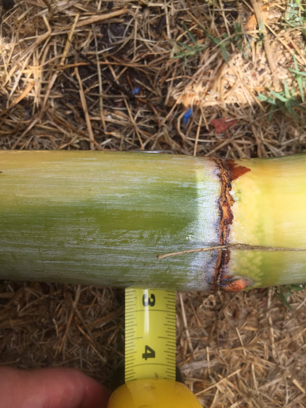 AE11E012-5A78-4AAF-9F37-7D00BC542697