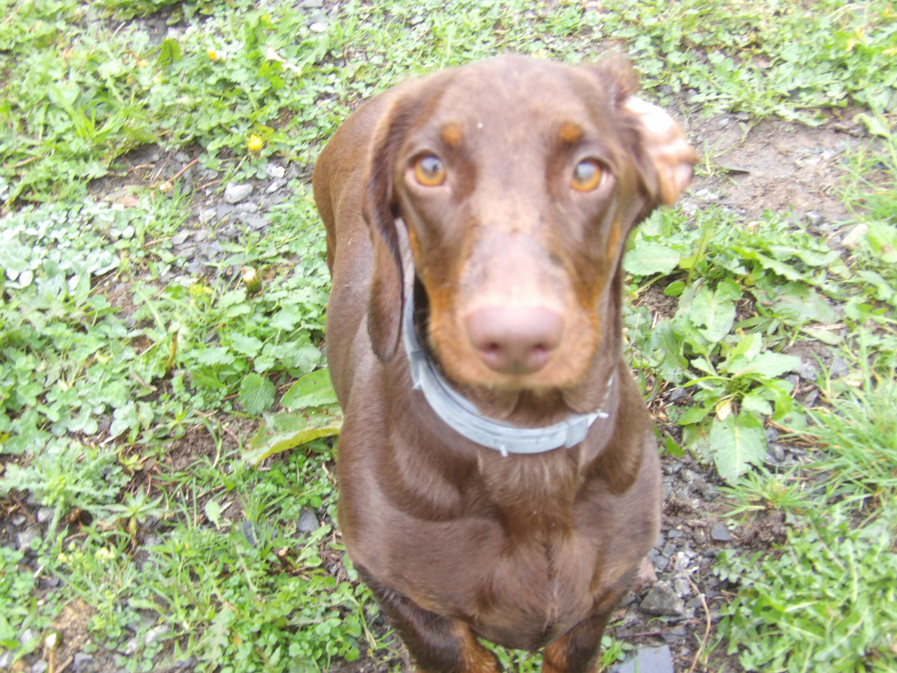 [Image: 125-0388.jpg]