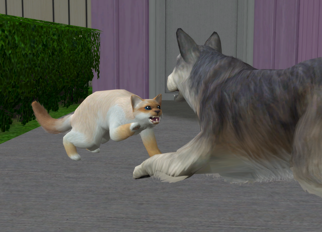 Sims2-EP9-RPC-2022-09-27-19-32-53-29