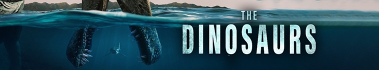 Movie cover image