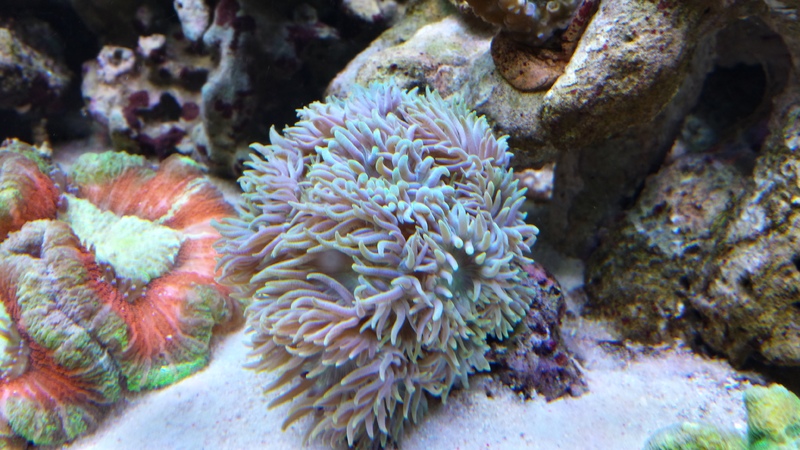 20130502_175836_Richtone(HDR)