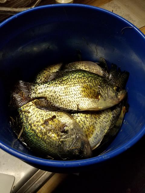 20180413_022403