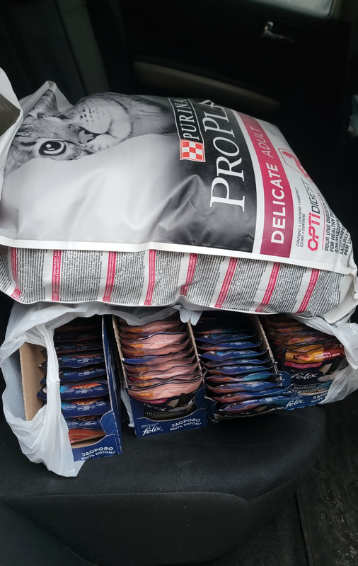 20250122_160646 КА