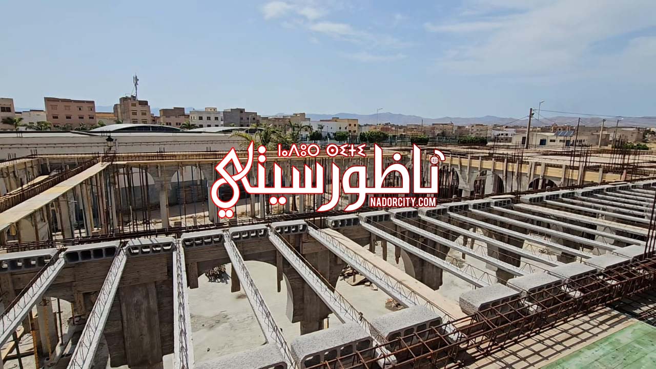 Whats-App-Image-2026-06-28-at-16-51-03-(1)