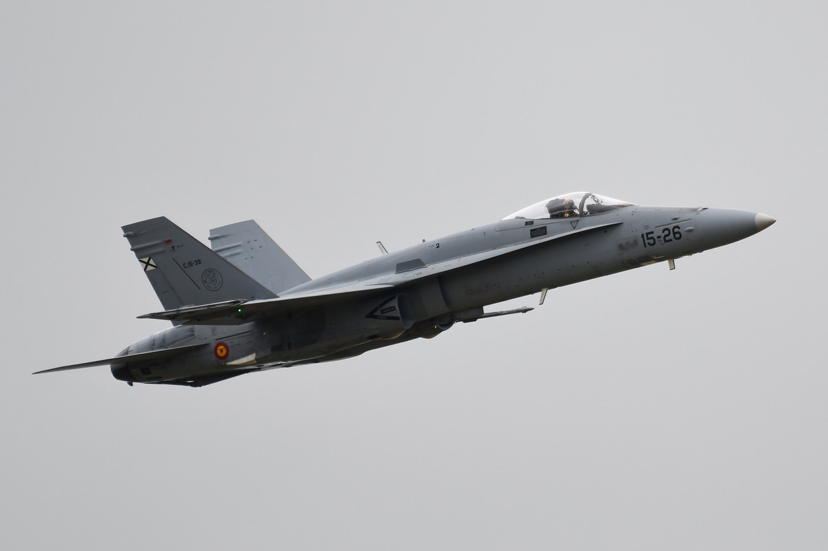 Spanish Hornet Solo Display