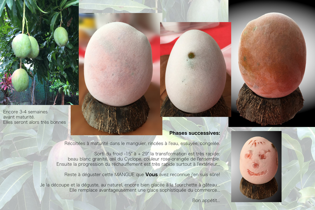 Mangue transformée